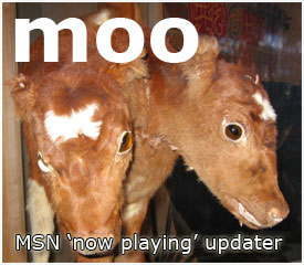 moo_-_gen_msn - MSN Status Line updater