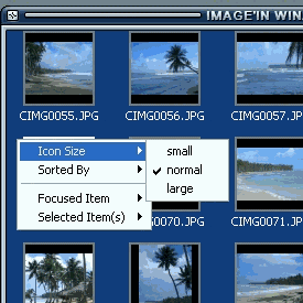 image_in_winamp - Manage your picture in winamp !