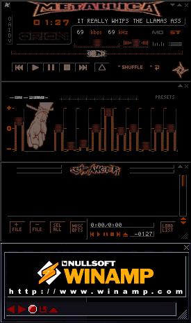 Metallica - Set My Anger Free - My First Skin