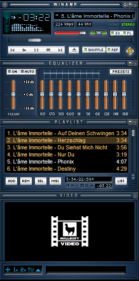 Minimal space winamp skins